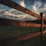 brown wooden fence beside green grass field